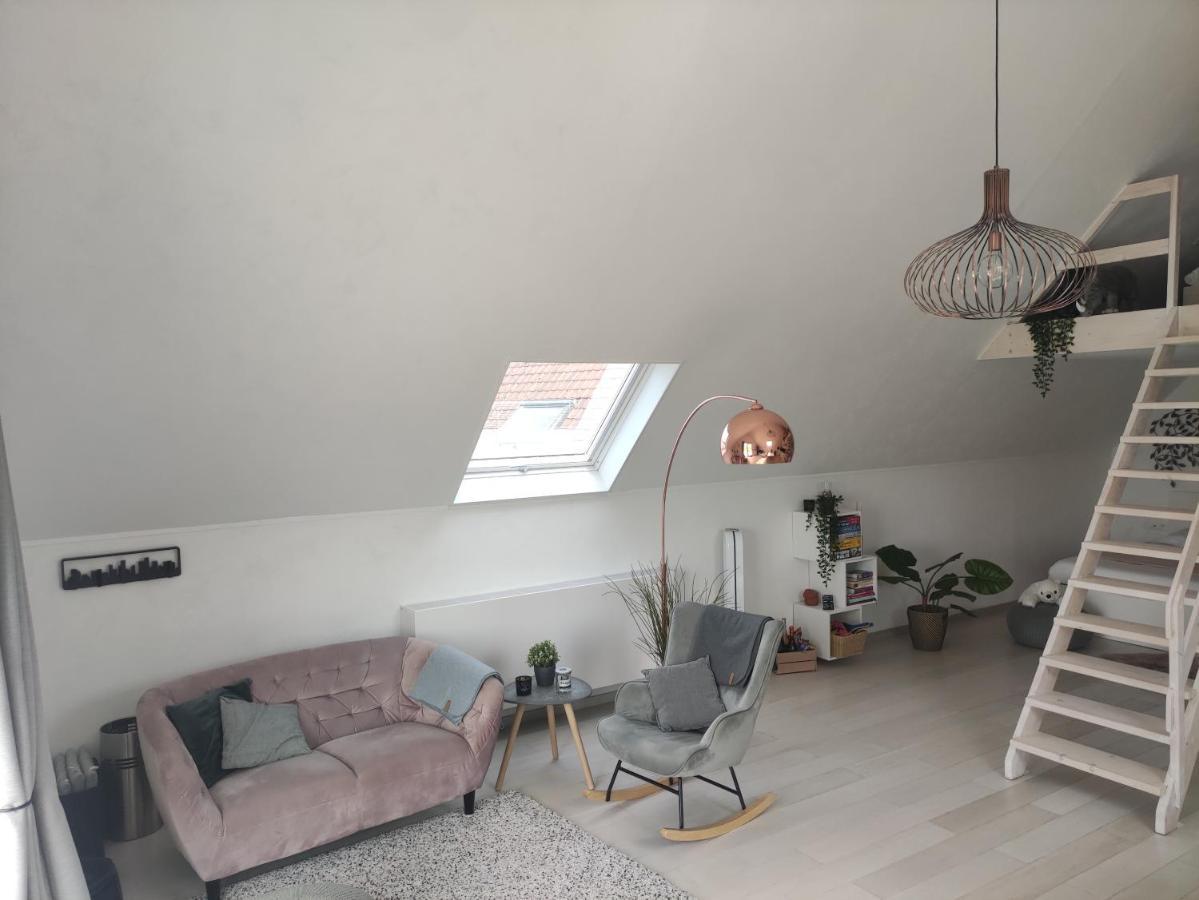 *** Biezoe *** Apartment Brakel Exterior photo